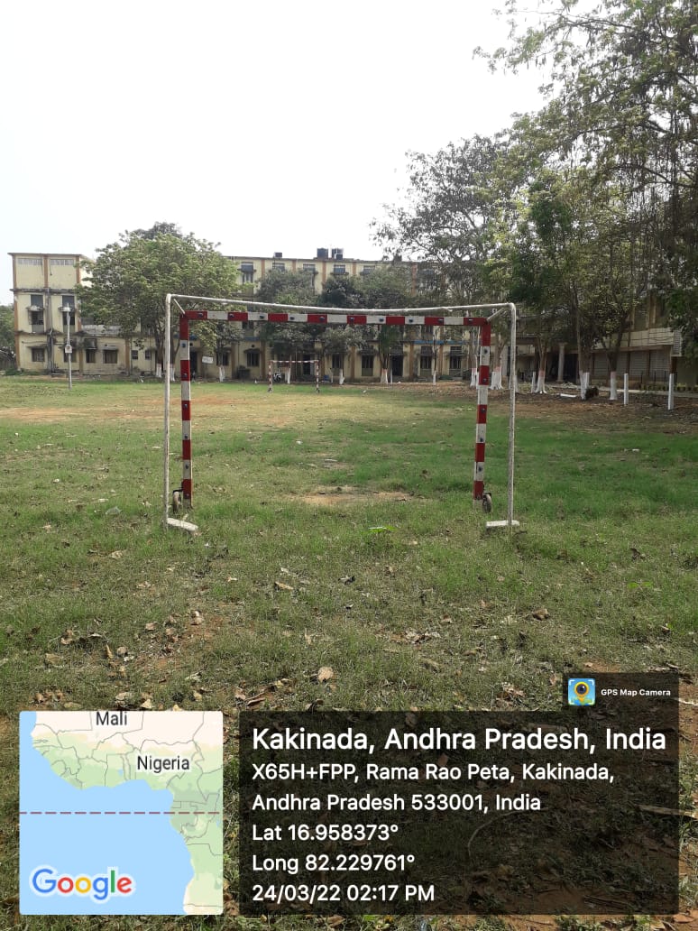 Dark Roast Iced Coffee